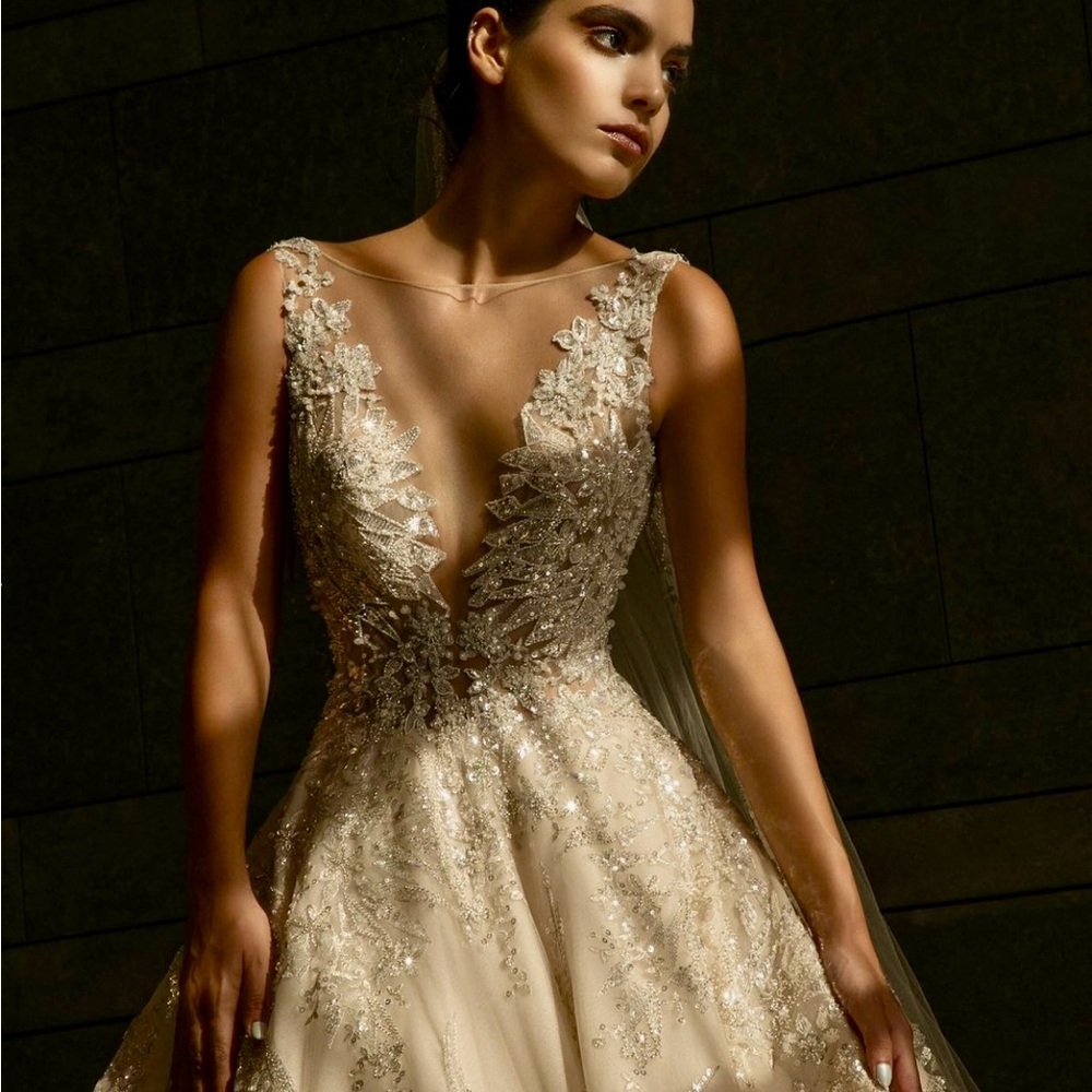 Tony Ward Wedding Dress